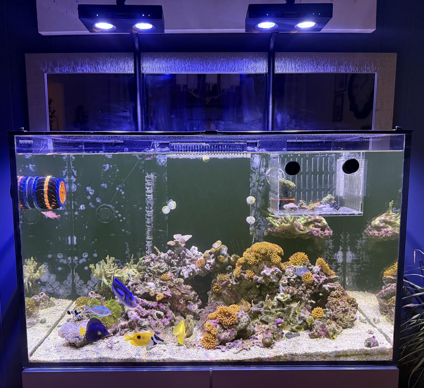 High Power DIY Spectrum 90W G5 - Reef Lighting 评论和价格
