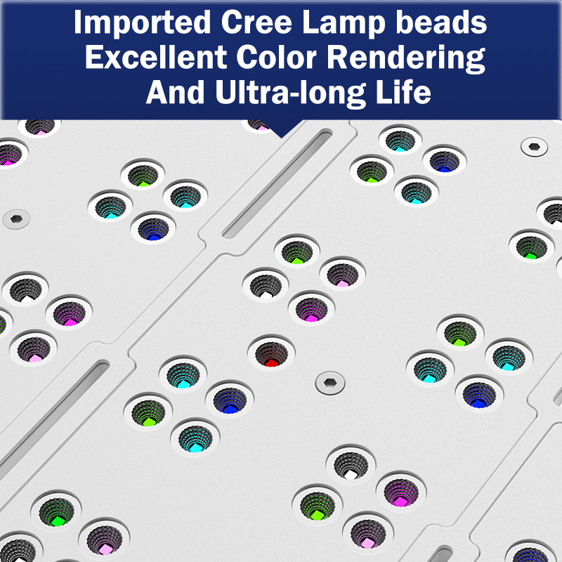 T169 Full Coverage 169W Flat P - Reef Lighting 评论和价格