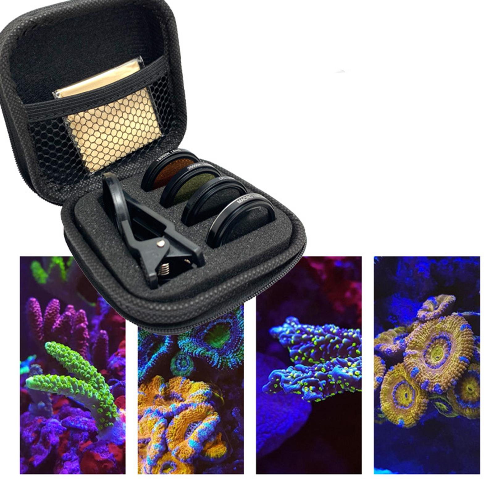 Fish Lens Camera Coral Reef Ph - Marine Coral 评论和价格